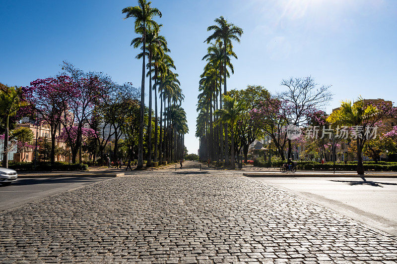 贝洛奥里藏特大街上，Praça da Liberdade街上的椰子树